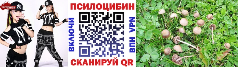 Галлюциногенные грибы Psilocybine cubensis Зерноград