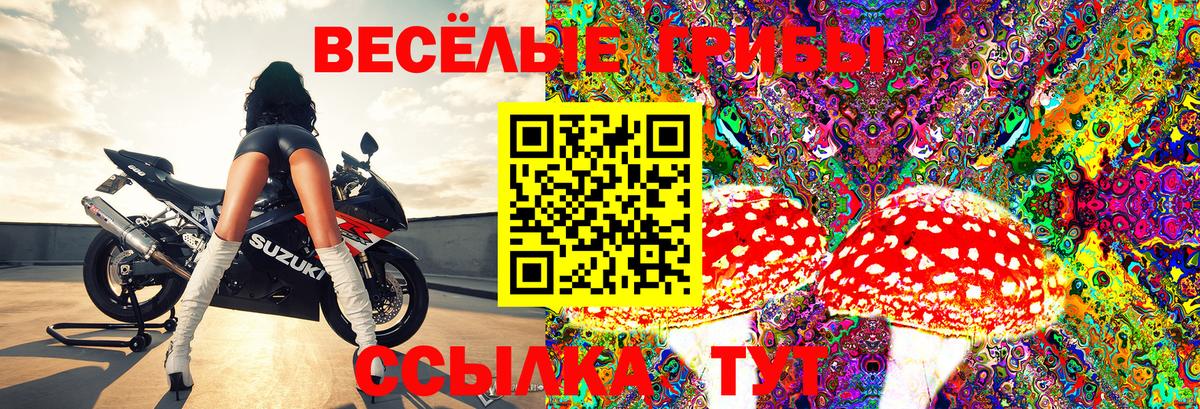 Галлюциногенные грибы ЛСД  Вход с VPN  Зерноград  Галлюциногенные грибы мицелий 